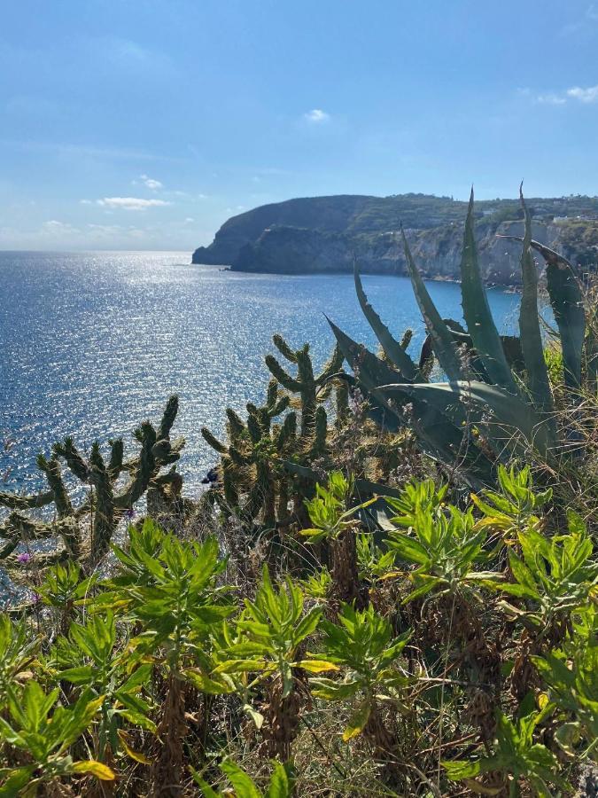 B&B Lodge Dell'Ospite Ischia Casamicciola Terme Exterior photo